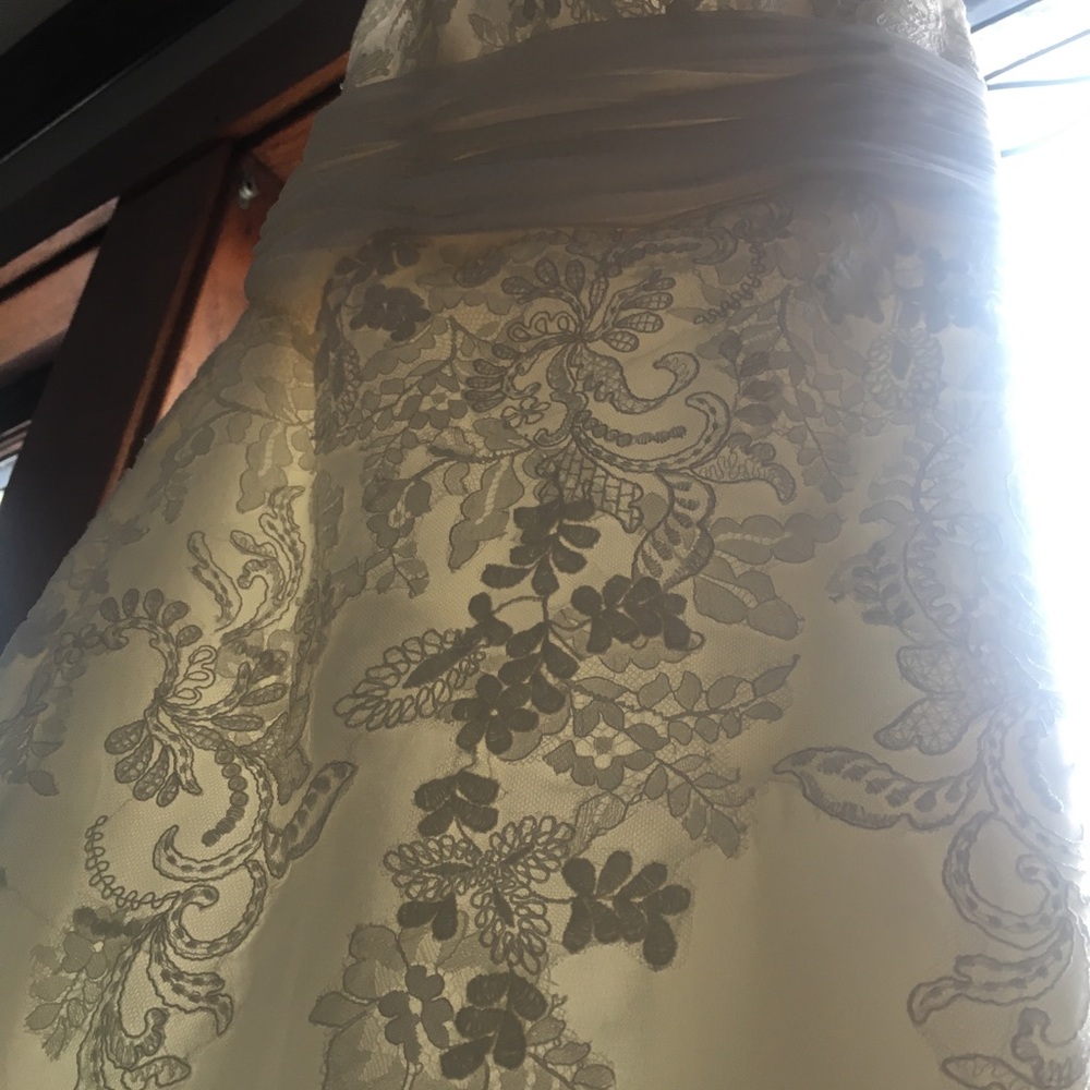 Wedding Dress - Pronovias Ariella Dress - Picture 3 of 8